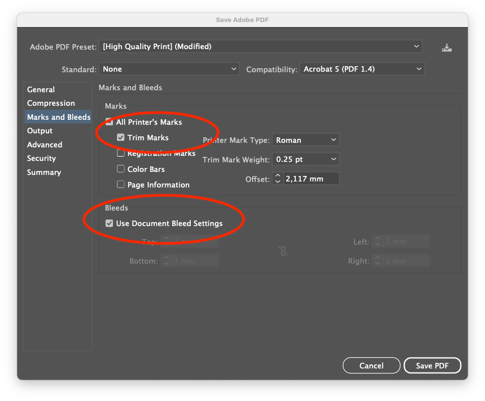 Photoflyer illustrator step 2